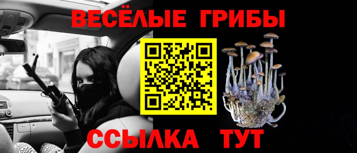 Псилоцибиновые грибы Cubensis Туапсе